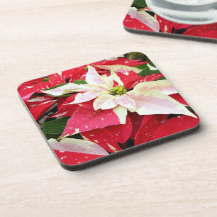Rood en wit poinsettia Holiday Beverage Coaster Bier Onderzetter