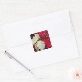 Rood en wit Poinsettia Holiday Vierkante Sticker (Envelop)