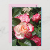 Rood en wit Roos Bloemen Bloemen Rozen Kaart (Voorkant / Achterkant)