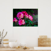 Rood en wit Roos Poster (Keuken)