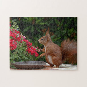 Rood- en witeekhoorn met rode bloem-Struik Legpuzzel