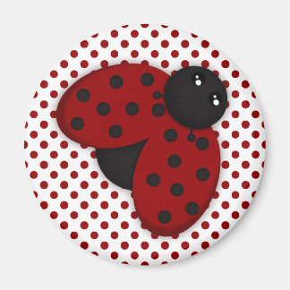 Rood en zwart Ladybug Magneet