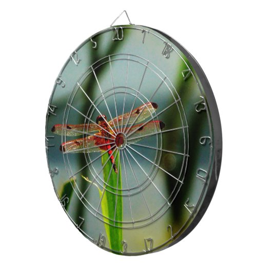 Rood- en zwarte dragonvlieg met schroefdraad dartbord (Voorkant Rechts)