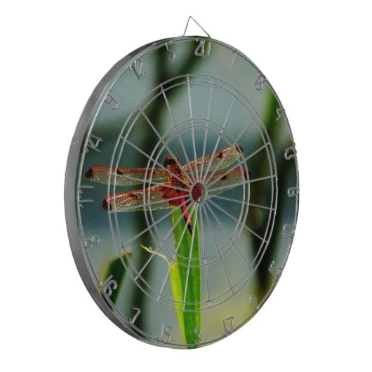 Rood- en zwarte dragonvlieg met schroefdraad dartbord (Voorkant Links)