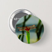 Rood- en zwarte dragonvlieg met schroefdraad ronde button 5,7 cm (Voorkant /achterkant)