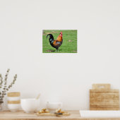 Rood- en zwarte rooster poster (Keuken)