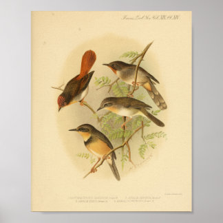 Rood Geel Bruin Afdruk Poster