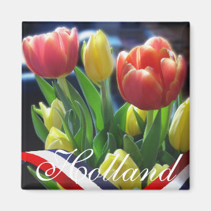 Rood Geel Hollandse Tulpen Holland Koelkast Magnee Magneet