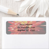 Rood gele Dahlia Adres label (Insitu)