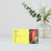 Rood gele rosebud Visitekaartje (Staand voorkant)