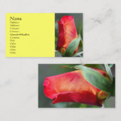 Rood gele rosebud Visitekaartje (Voorkant / Achterkant)