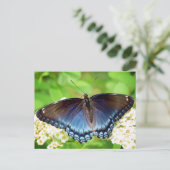 Rood gepotten Paars - Butterfly Briefkaart (Staand voorkant)
