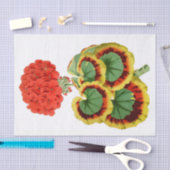 Rood geraniumbotanisch 10 x 15-inch weefselpapier tissuepapier (Craft)