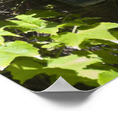 Rood geraniumvenster poster (Hoek)