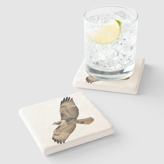 Rood gevangen Hawk Bird Wildlife Animal Stone Onde Stenen Onderzetter (Zijkant)