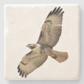 Rood gevangen Hawk Bird Wildlife Animal Stone Onde Stenen Onderzetter (Voorkant)