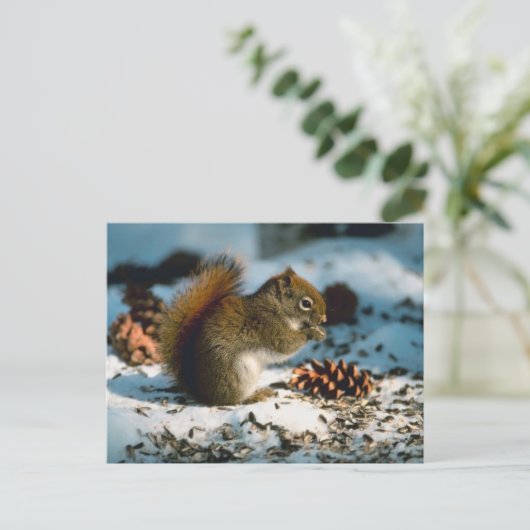 Rood gevlekte eekhoorn briefkaart (Staand voorkant)