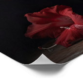 Rood Gladiolus Bloemen Art Print Poster (Hoek)