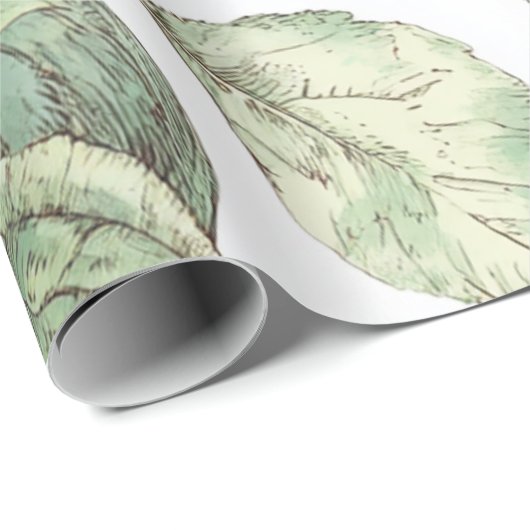 Rood Groene Appelvrucht Patroon Waterverf Rustiek Cadeaupapier (Rol Hoek)