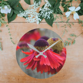 Rood Helenium in selectieve kleuren - ontvet Ronde Klok