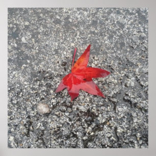 Rood herfst blad in regen op grijze, getextureerde poster
