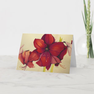 Rood het Schilderen van de Amaryllis van Kerstmis Feestdagen Kaart