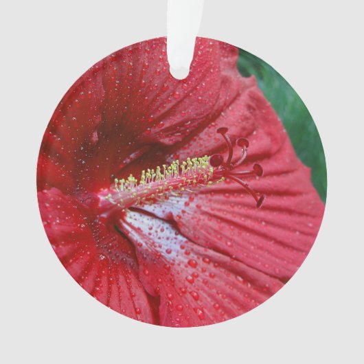 Rood Hibiscus met regendruppels Ornament (voorkant)
