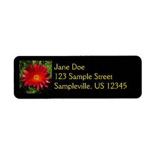 Rood IJzerblazer, kleurrijk tapijt Plant Etiket