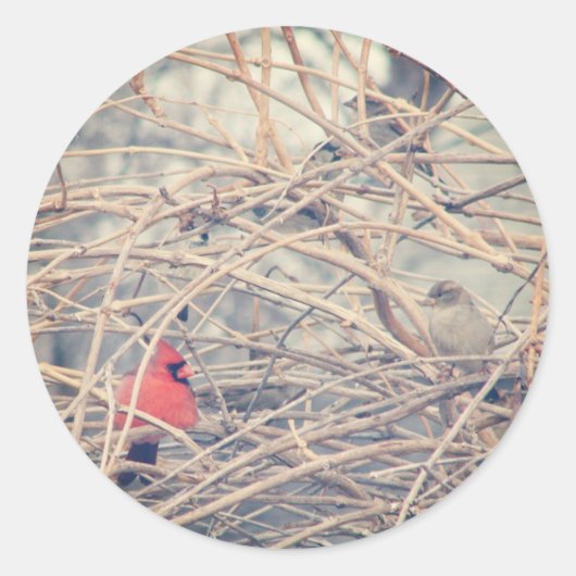 Rood in een droeve winter door de engelandvlek. ronde sticker (Voorkant)