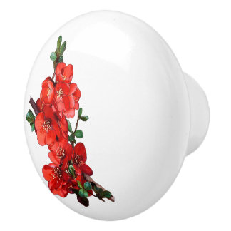 Rood Japans konijnenbrood wit Keramische Knop