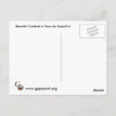 Rood kardinaal Briefkaart (Achterkant)