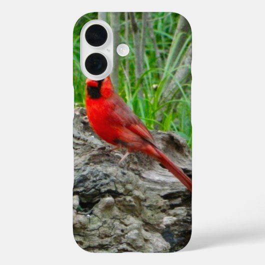 Rood kardinaal (Ohio) iPhone Case (Achterkant)