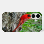 Rood kardinaal (Ohio) iPhone Case (Achterkant (horizontaal))