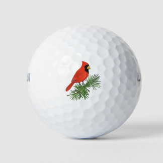 Rood kardinaal vogel op pijnboom golfballen