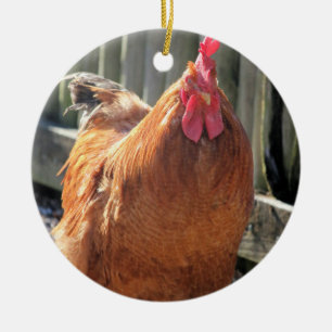 Rood Keramisch Ornament
