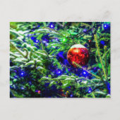 Rood kerstbal, groene sparrenboom briefkaart (Voorkant)