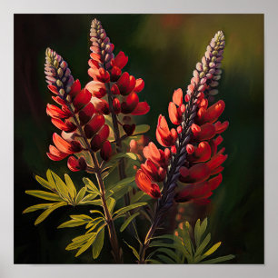Rood Lupine Bloem Art Print Poster