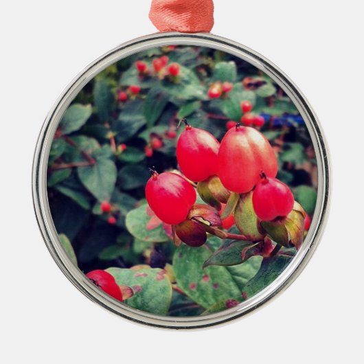 Rood Metalen Ornament (Voorkant)