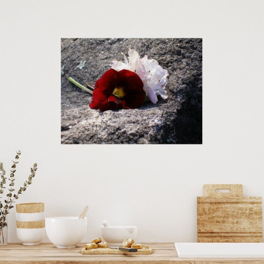 Rood-n-wit Poster (Keuken)