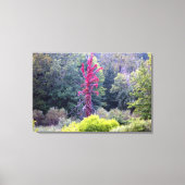 Rood - Natuur Scène (omcirkelde canvasafdruk) Canvas Afdruk (Voorkant)