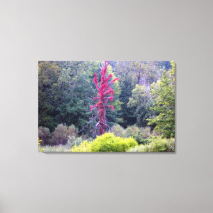 Rood - Natuur Scène (omcirkelde canvasafdruk) Canvas Afdruk