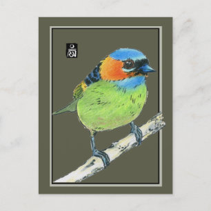 Rood-Necked Tanager Bird Briefkaart