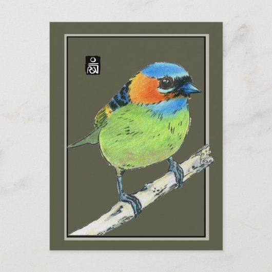 Rood-Necked Tanager Bird Briefkaart (Voorkant)