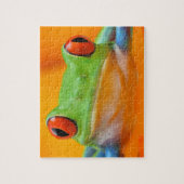 Rood-oogboom Kikker Puzzle Legpuzzel (Verticaal)