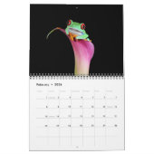 Rood oogboomkikker, kikkers 2011 kalender (Feb 2026)