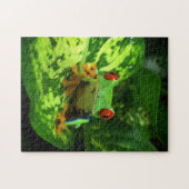 Rood oogboomkikker Oerwoud regenwoud Legpuzzel (Horizontaal)