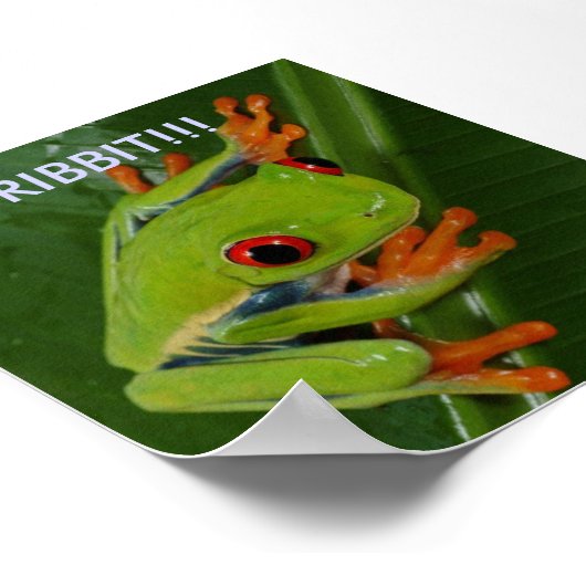 Rood-Oogboomkikker, RIBBIT!! Poster (Hoek)