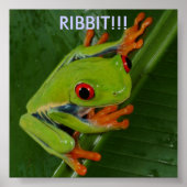 Rood-Oogboomkikker, RIBBIT!! Poster (Voorkant)
