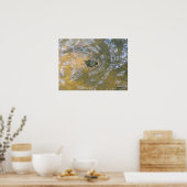 Rood-oorglijder Hatchling Poster (Keuken)