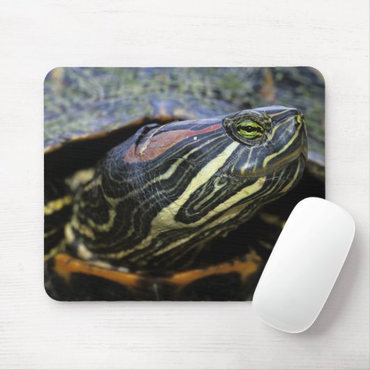 Rood-oorglijder, Trachemys scripta elegans, 2 Muismat (Met muis)